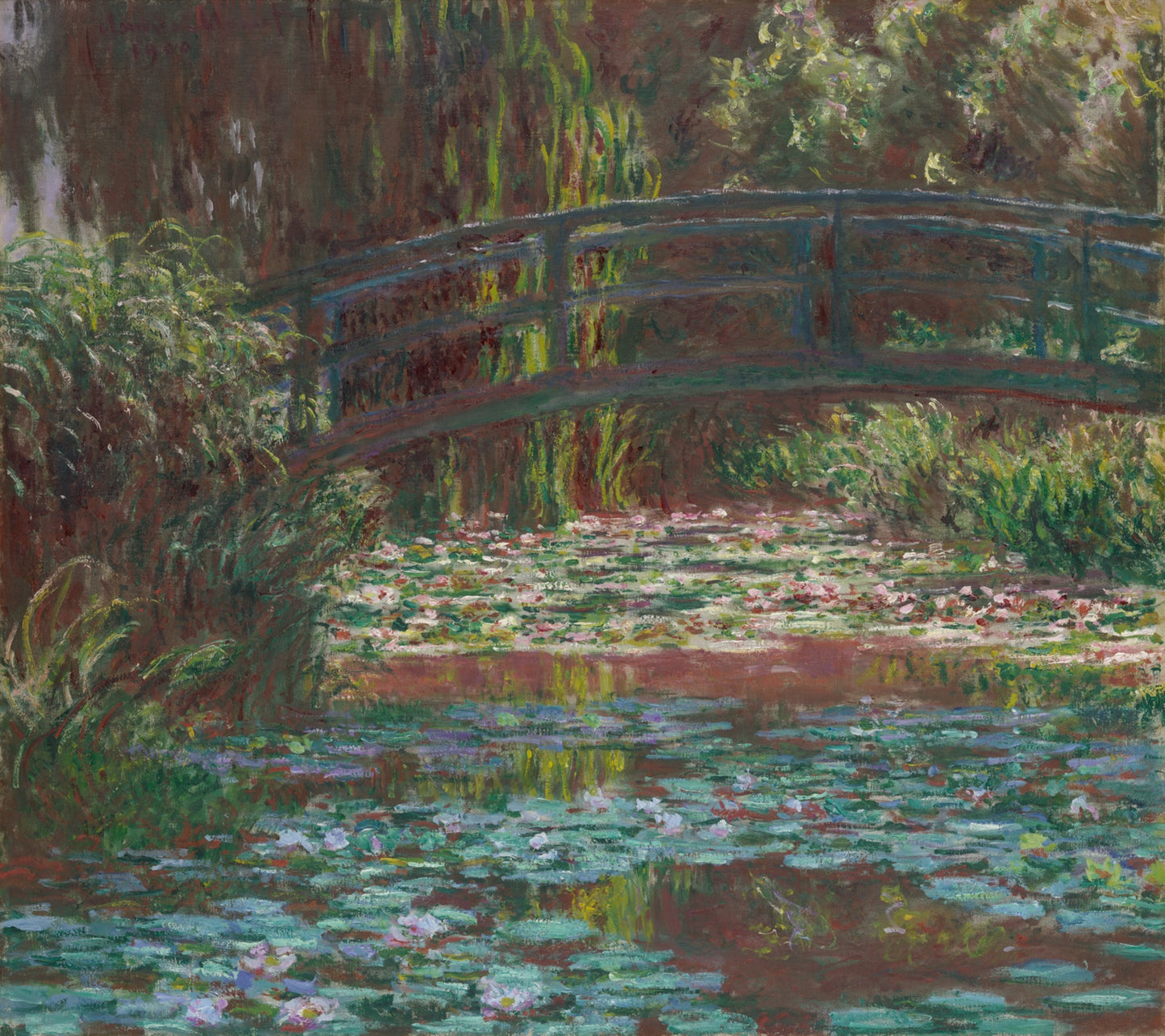 The Water Lily Pond
