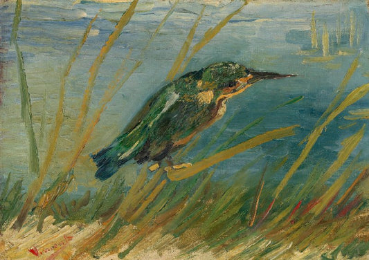 The Kingfisher