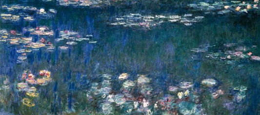 Water Lilies